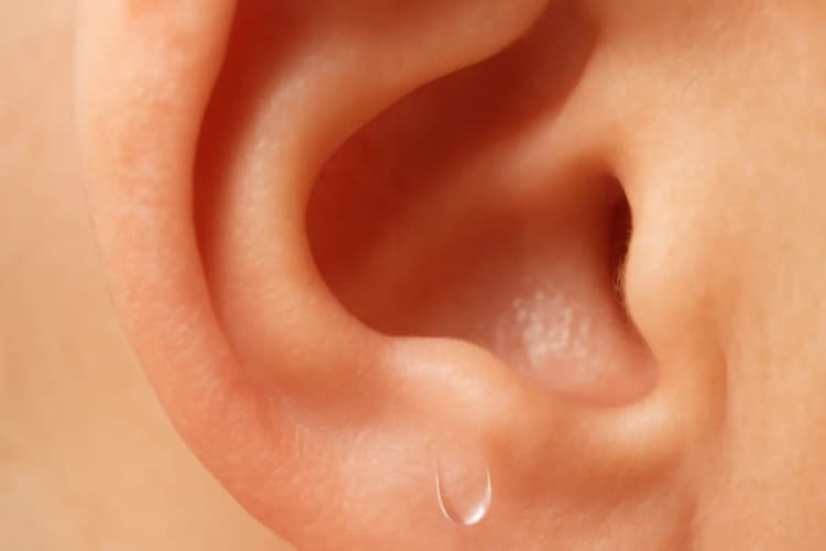 close-up extremo de um ouvido com uma gota de água prestes a sair